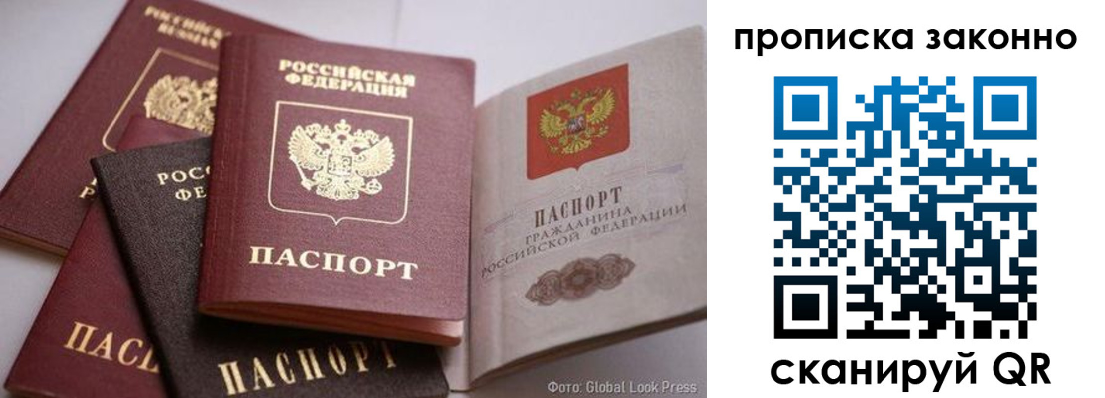 прописка поиск в Зеленогорске